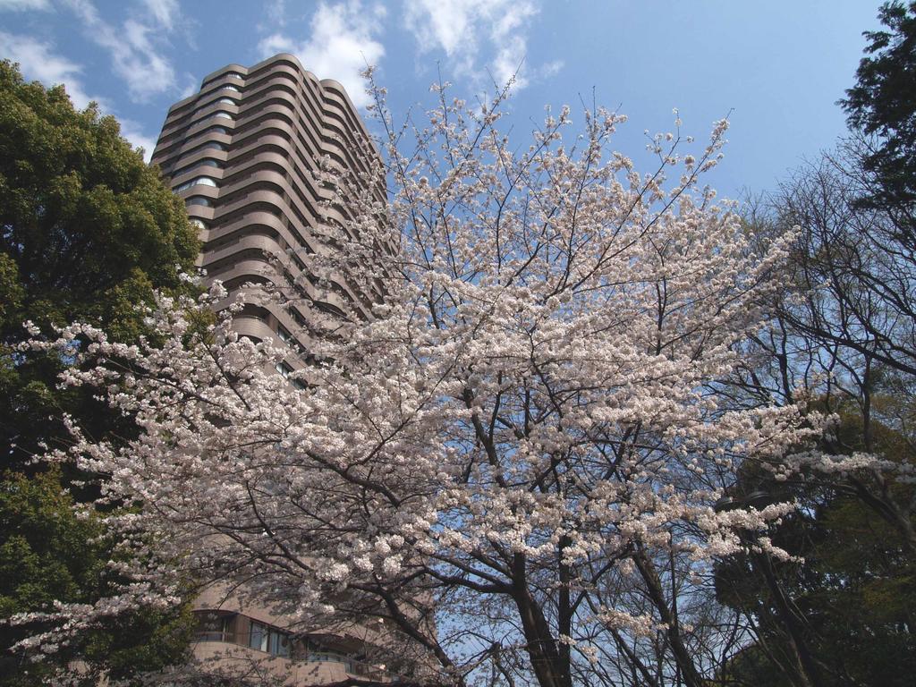 Tokyo Marriott Hotel Esterno foto
